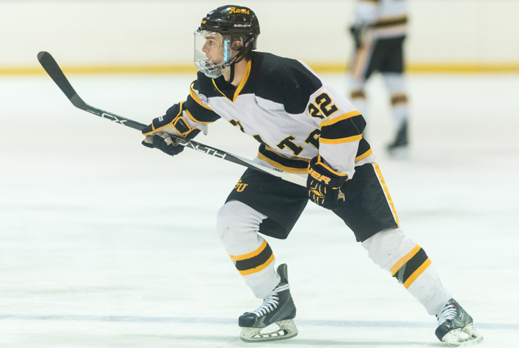 Ice Hockey Downed 4-1 by Salem State