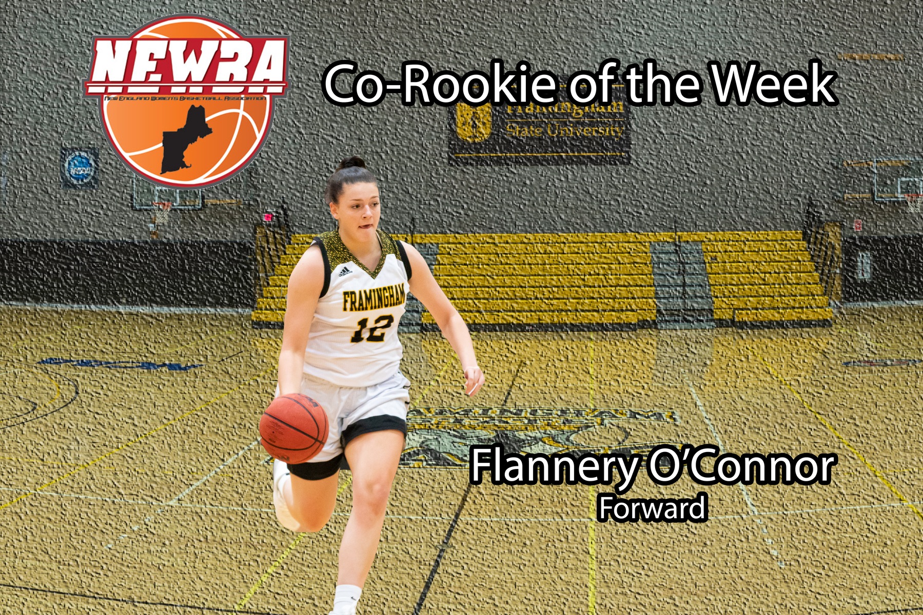 O’Connor Chosen as NEWBA Co-Rookie of the Week