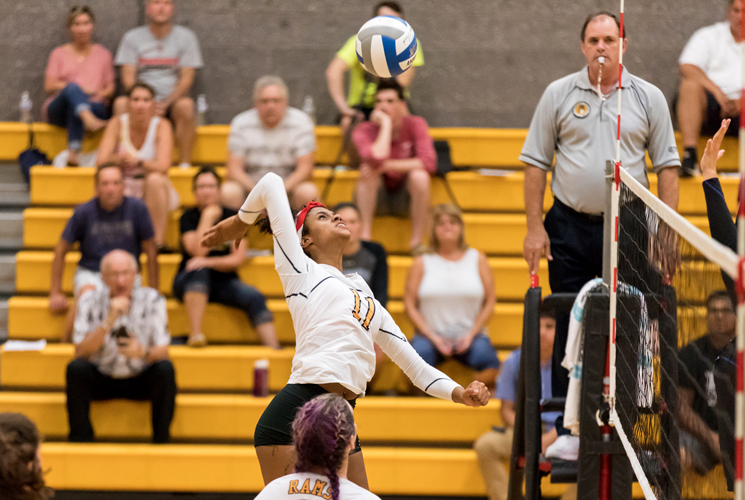 Brinkman and Rodriguez Pace Volleyball in 3-0 Win over Emmanuel