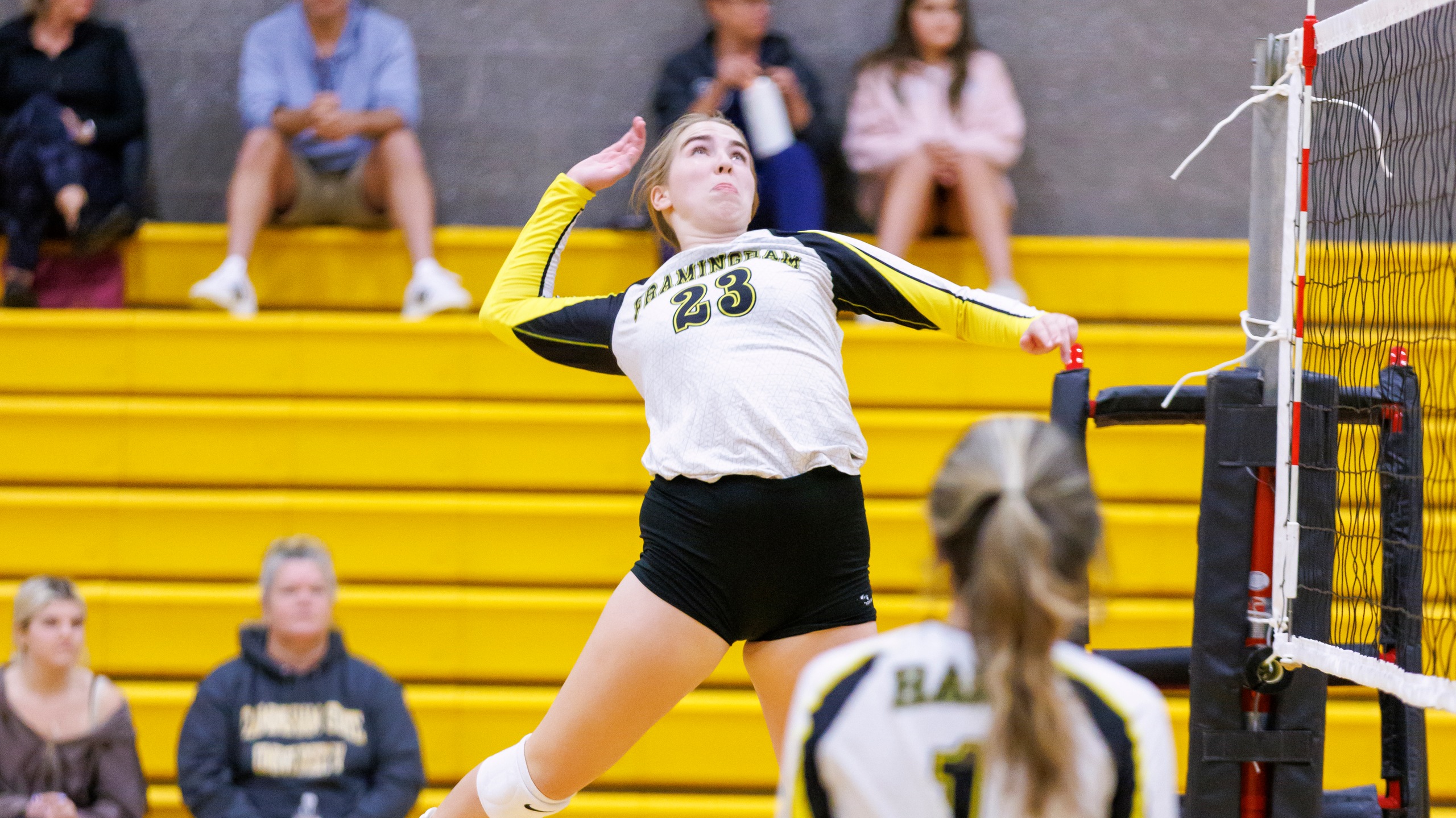 Volleyball Sails Past New England College 3-1