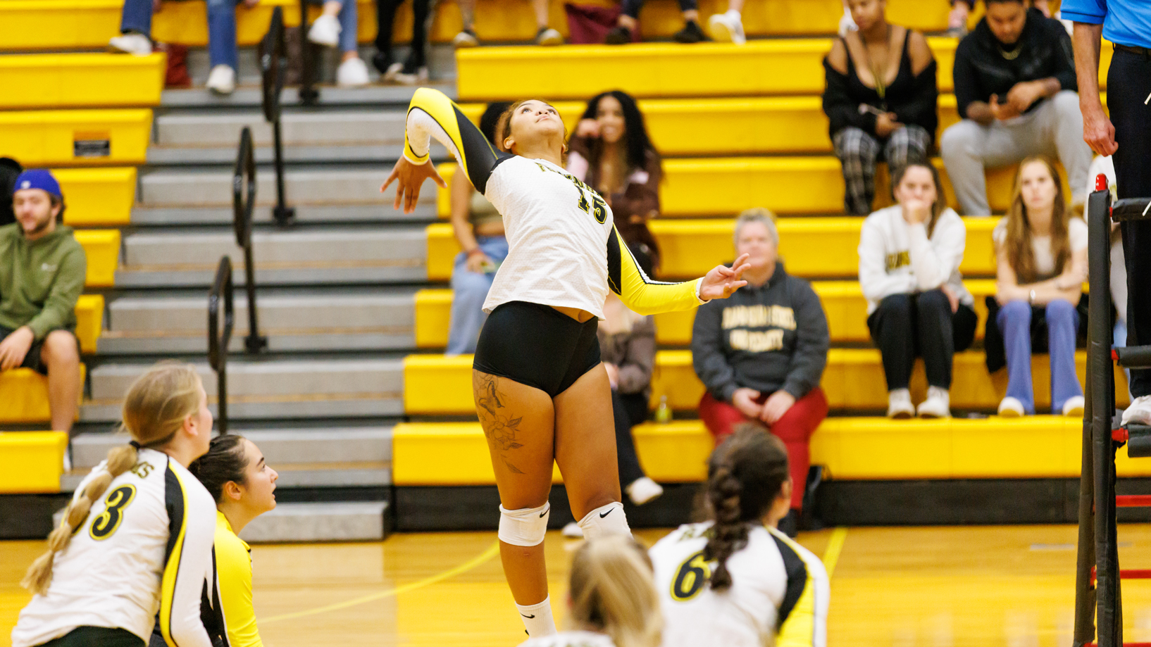 Volleyball Cruises to 3-0 Victory over Salem State