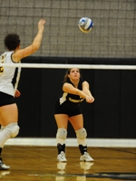 Volleyball Sweeps Anna Maria, 3-0
