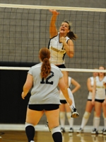 Volleyball Falls to Western New England