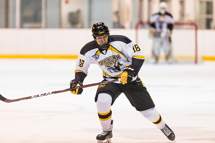 Ice Hockey Falls to Westfield State 5-2