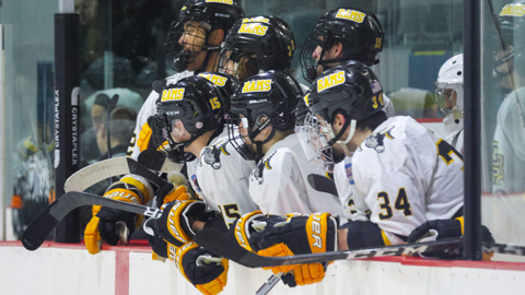 Ice Hockey Earns Fifth Seed in MASCAC Tournament