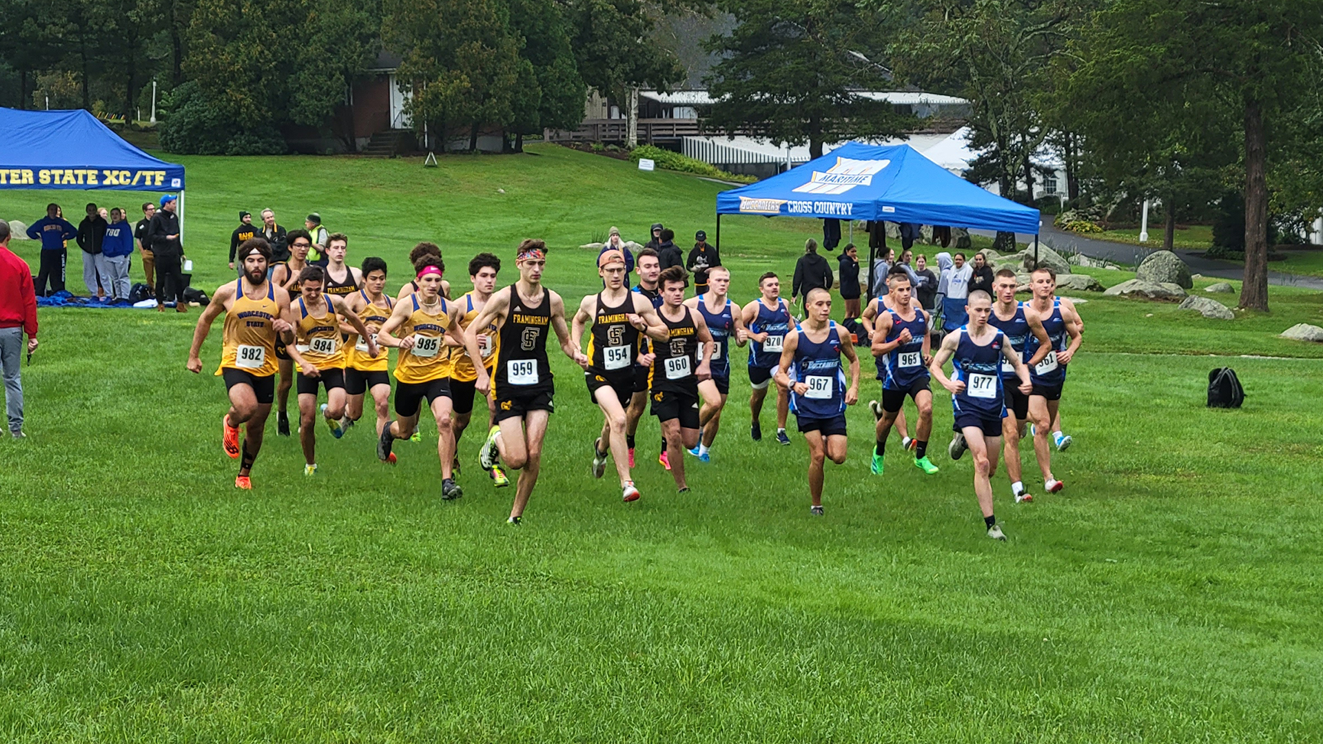 Walsh Takes Top Spot for Men's Cross Country at Rams Invitational