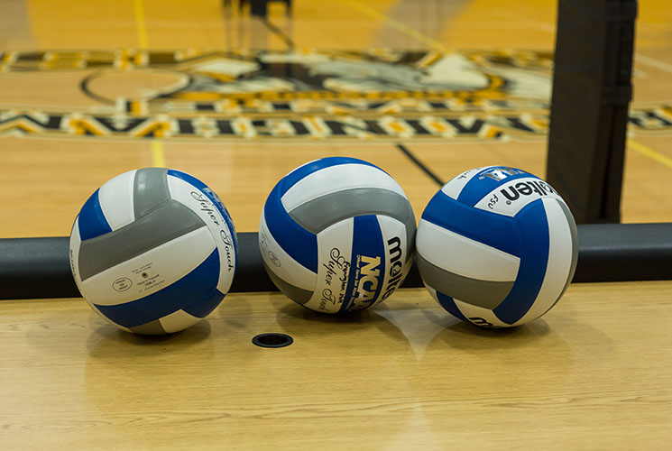 MetroWest Daily News - On Campus: Casali Has Framingham State Volleyball Team Set for Success