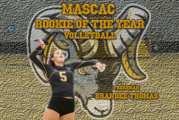 Thomas Named Rookie of the Year as Volleyball Places Three on All-MASCAC Teams
